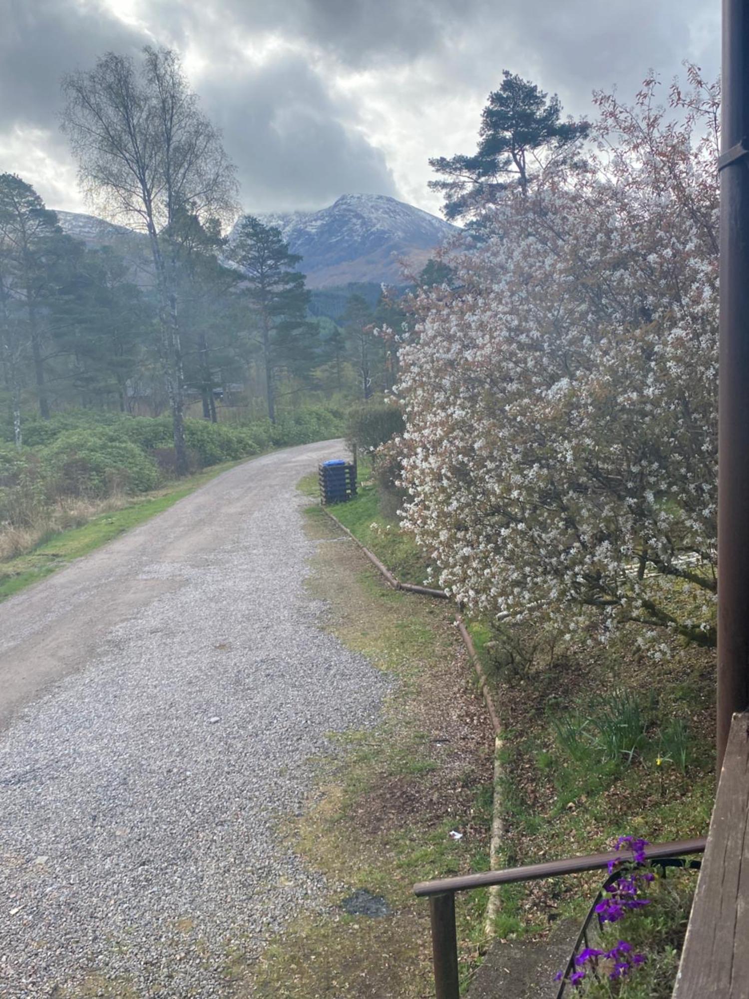 Kingswood Lodges Fort William Buitenkant foto